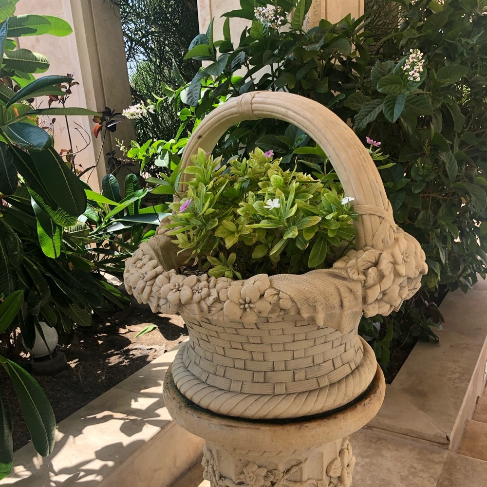 Meet your Posher, Miu Miu